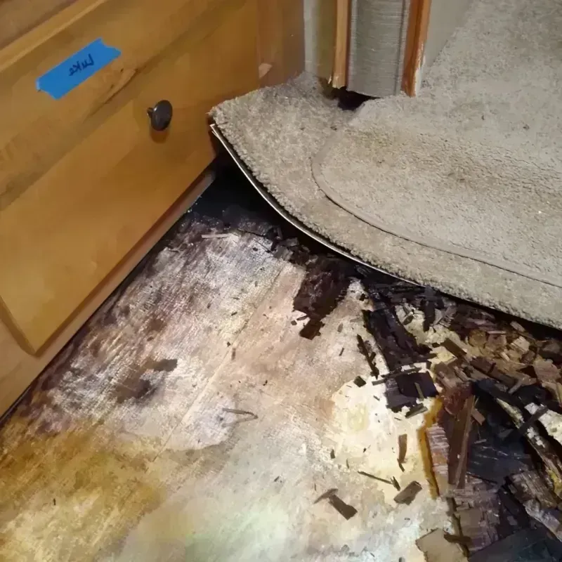 Best Wood Floor Water Damage Service in Carlin, NV